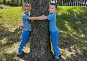 Chłopcy przytulają się do drzewa
